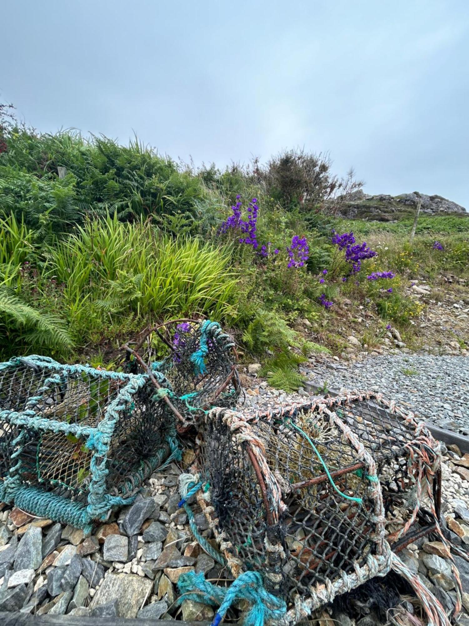 Mary's Seaview Clifden Hébergement de vacances